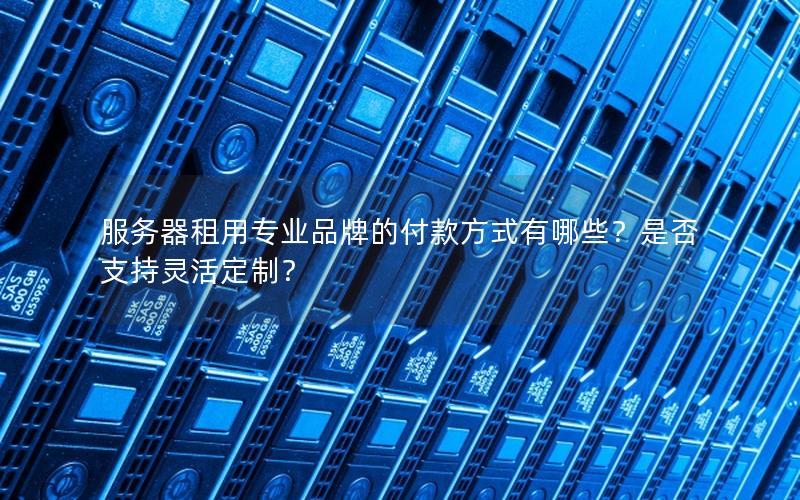 服务器租用专业品牌的付款方式有哪些？是否支持灵活定制？