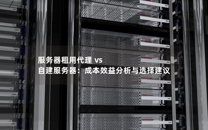 服务器租用代理 vs 自建服务器：成本效益分析与选择建议