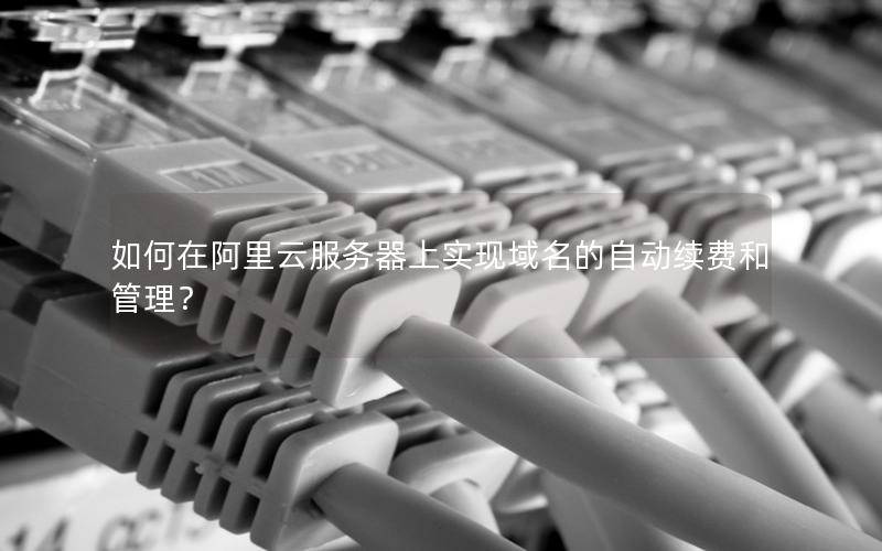 如何在阿里云服务器上实现域名的自动续费和管理？