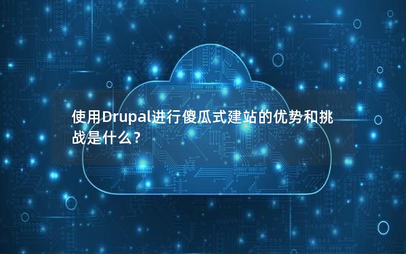使用Drupal进行傻瓜式建站的优势和挑战是什么？