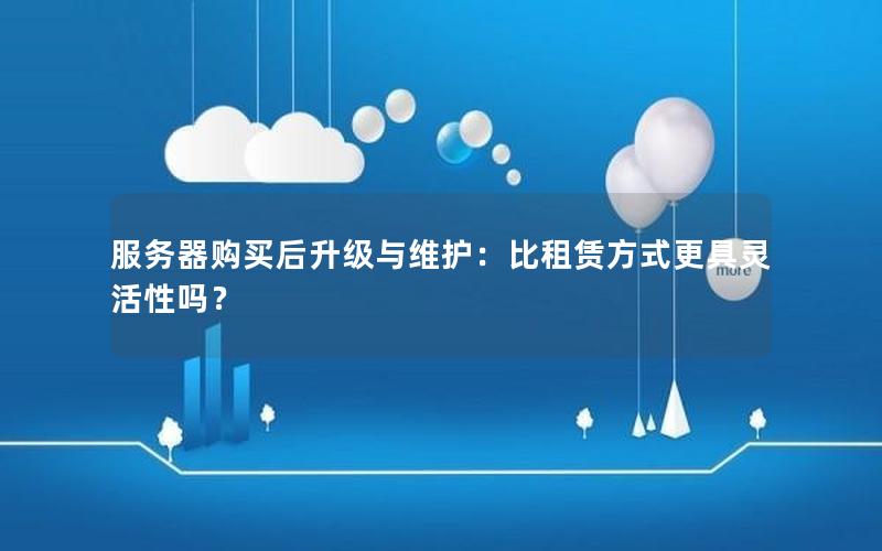 服务器购买后升级与维护：比租赁方式更具灵活性吗？