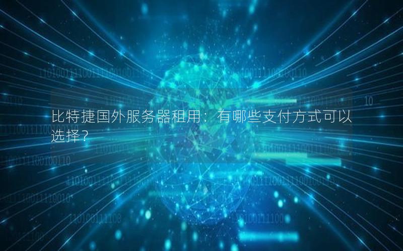 比特捷国外服务器租用：有哪些支付方式可以选择？