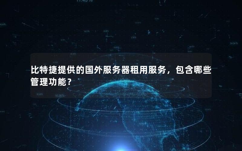 比特捷提供的国外服务器租用服务，包含哪些管理功能？