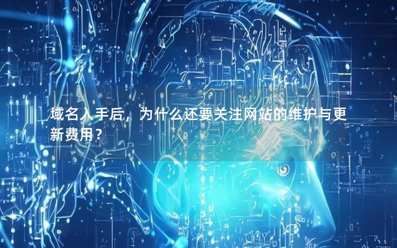 域名入手后，为什么还要关注网站的维护与更新费用？