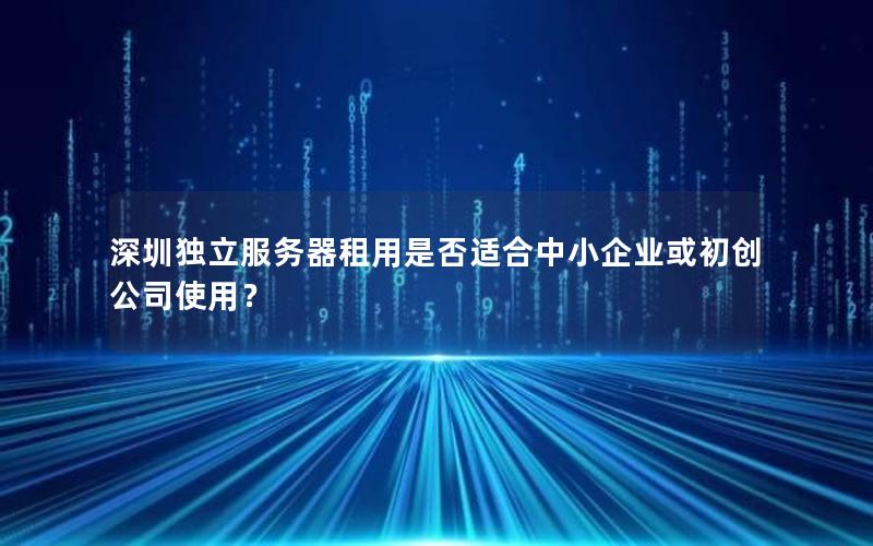 深圳独立服务器租用是否适合中小企业或初创公司使用？