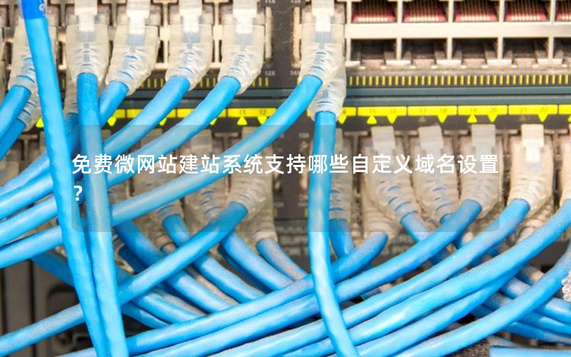 免费微网站建站系统支持哪些自定义域名设置？