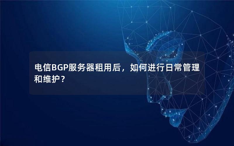 电信BGP服务器租用后，如何进行日常管理和维护？