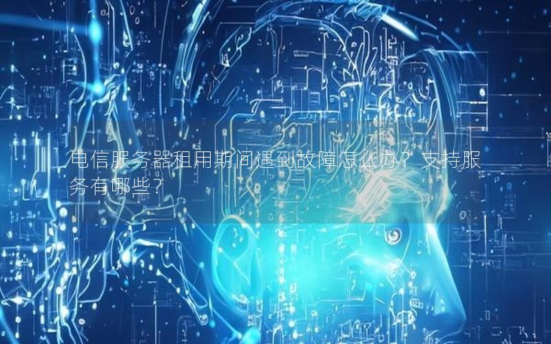 电信服务器租用期间遇到故障怎么办？支持服务有哪些？