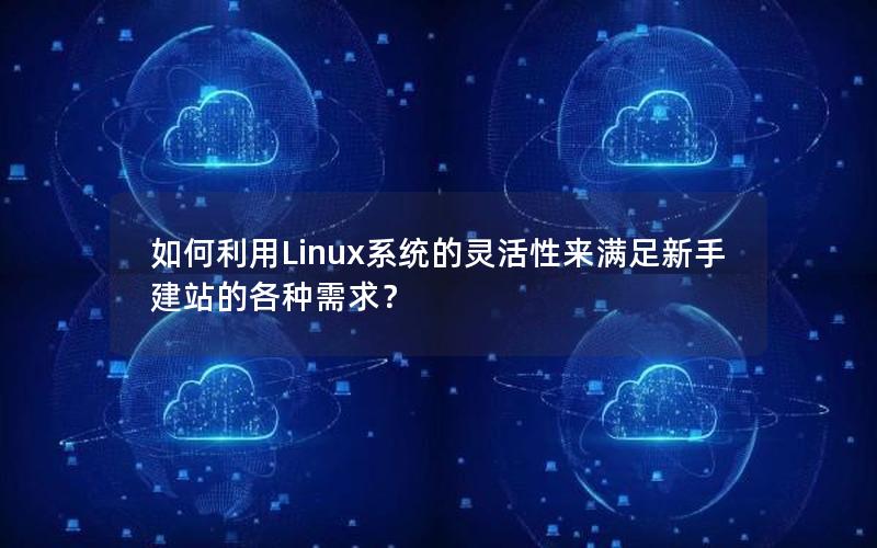 如何利用Linux系统的灵活性来满足新手建站的各种需求？