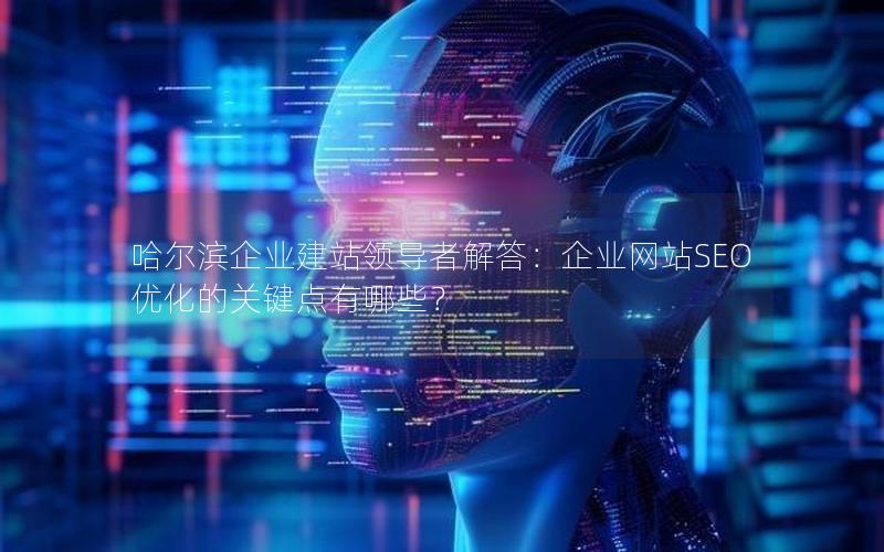 哈尔滨企业建站领导者解答：企业网站SEO优化的关键点有哪些？