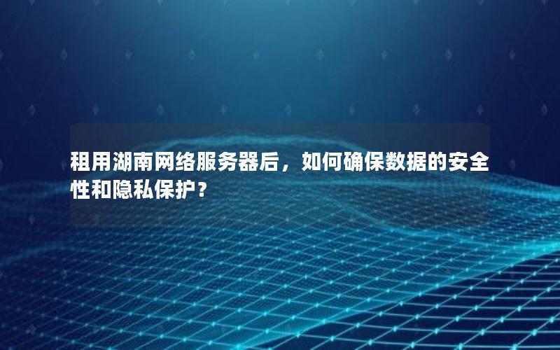 租用湖南网络服务器后，如何确保数据的安全性和隐私保护？