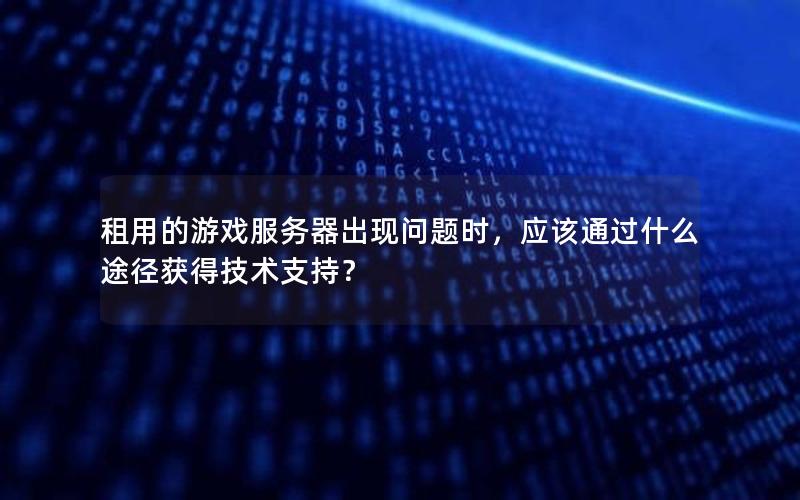 租用的游戏服务器出现问题时，应该通过什么途径获得技术支持？