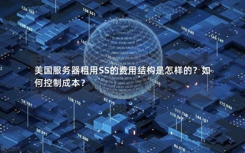 美国服务器租用SS的费用结构是怎样的？如何控制成本？