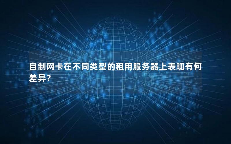 自制网卡在不同类型的租用服务器上表现有何差异？