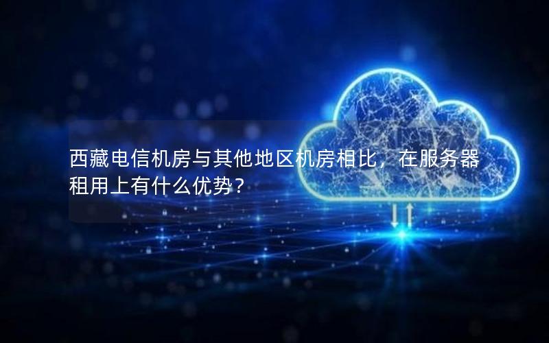 西藏电信机房与其他地区机房相比，在服务器租用上有什么优势？
