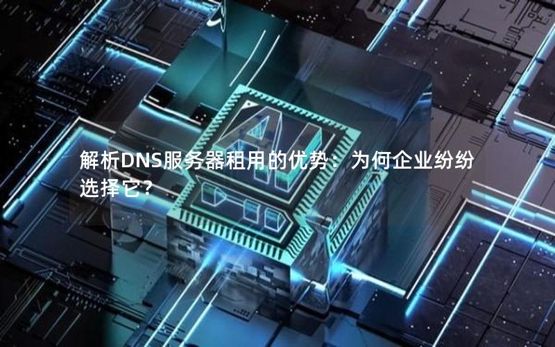 解析DNS服务器租用的优势：为何企业纷纷选择它？