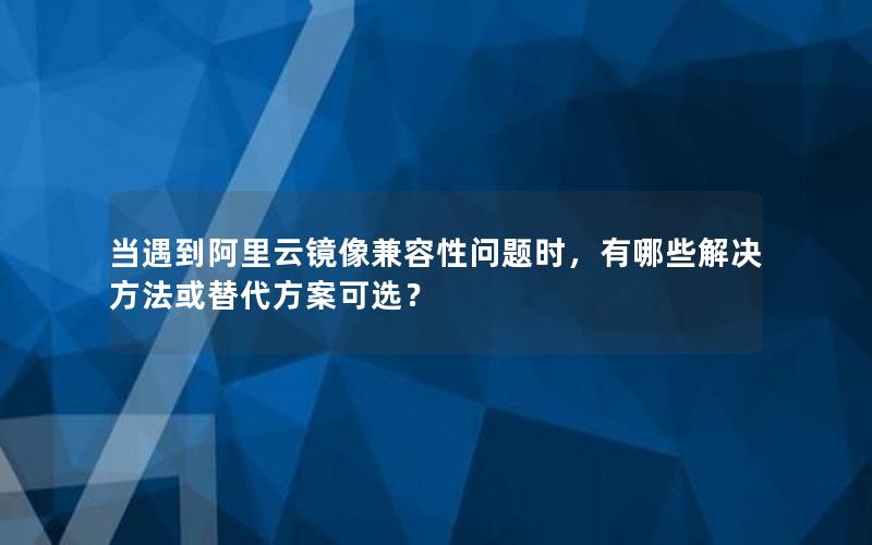 当遇到阿里云镜像兼容性问题时，有哪些解决方法或替代方案可选？