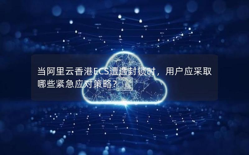 当阿里云香港ECS遭遇封锁时，用户应采取哪些紧急应对策略？