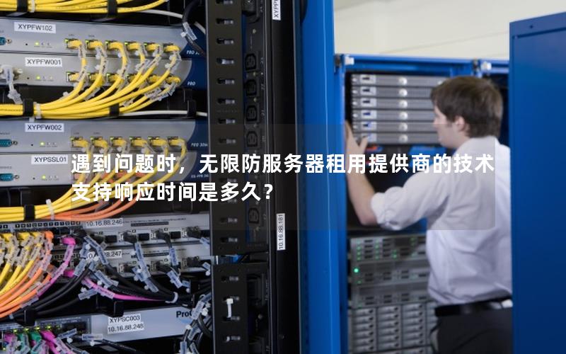 遇到问题时，无限防服务器租用提供商的技术支持响应时间是多久？