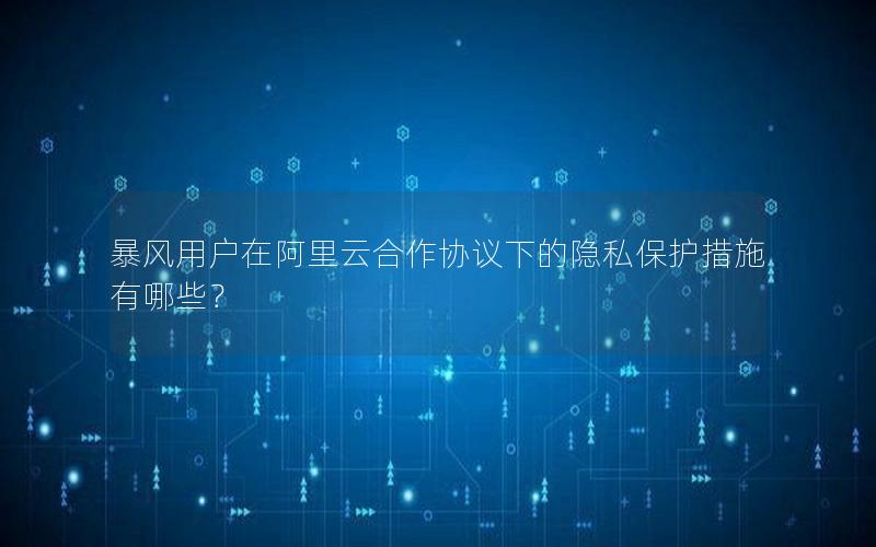 暴风用户在阿里云合作协议下的隐私保护措施有哪些？