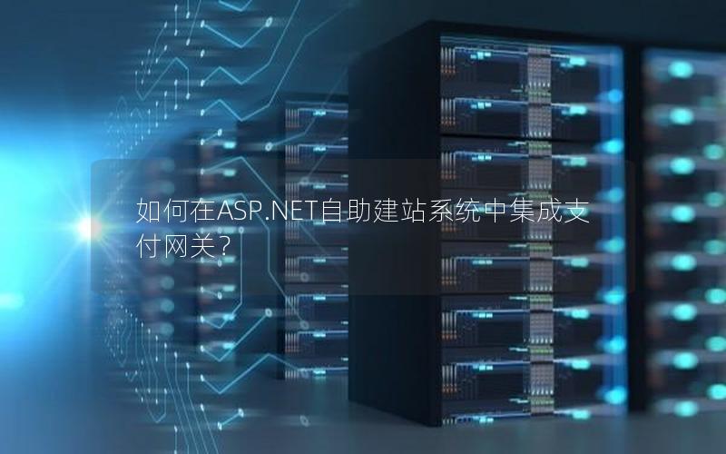 如何在ASP.NET自助建站系统中集成支付网关？