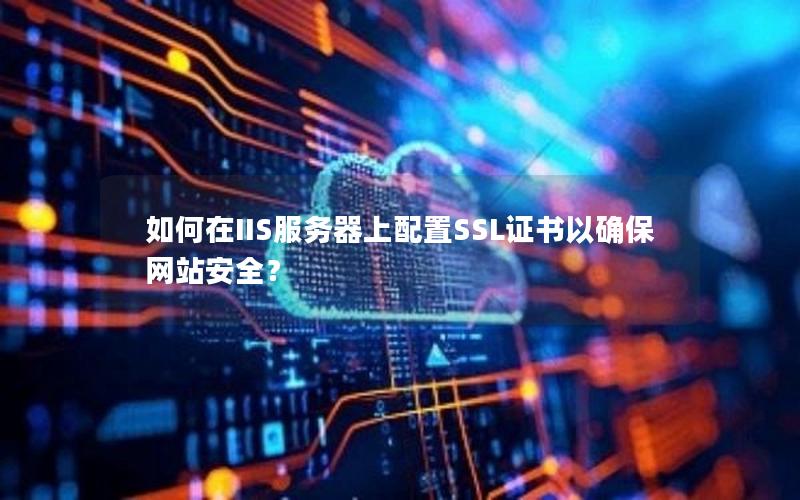 如何在IIS服务器上配置SSL证书以确保网站安全？