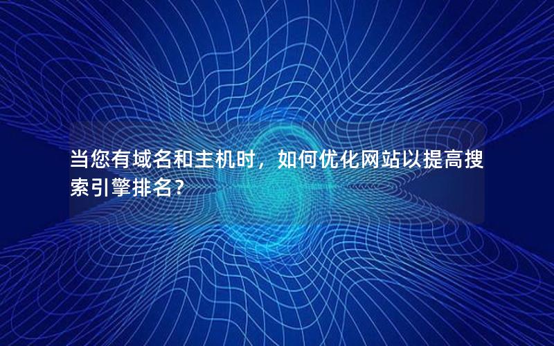 当您有域名和主机时，如何优化网站以提高搜索引擎排名？