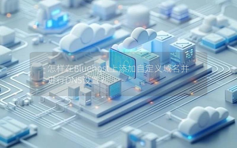 怎样在Bluehost上添加自定义域名并进行DNS设置？