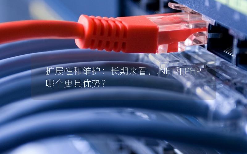 扩展性和维护：长期来看，.NET和PHP哪个更具优势？