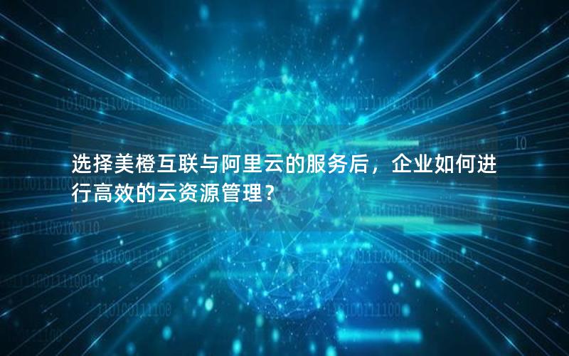 选择美橙互联与阿里云的服务后，企业如何进行高效的云资源管理？