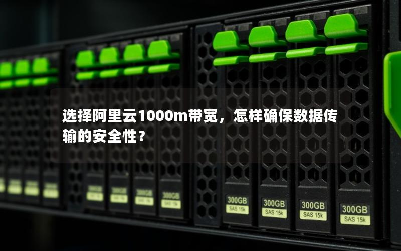 选择阿里云1000m带宽，怎样确保数据传输的安全性？