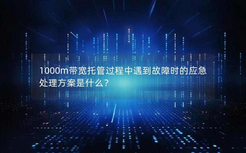 1000m带宽托管过程中遇到故障时的应急处理方案是什么？