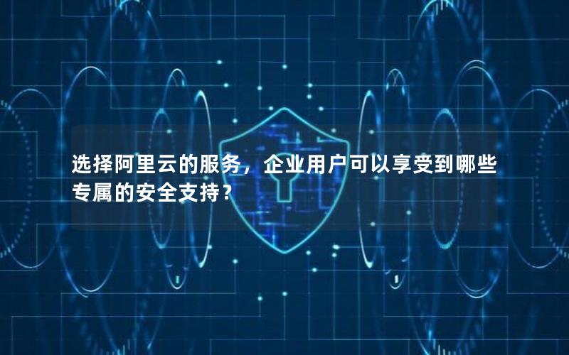 选择阿里云的服务，企业用户可以享受到哪些专属的安全支持？