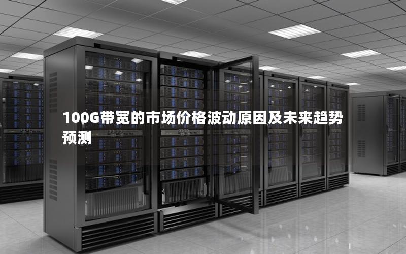 100G带宽的市场价格波动原因及未来趋势预测