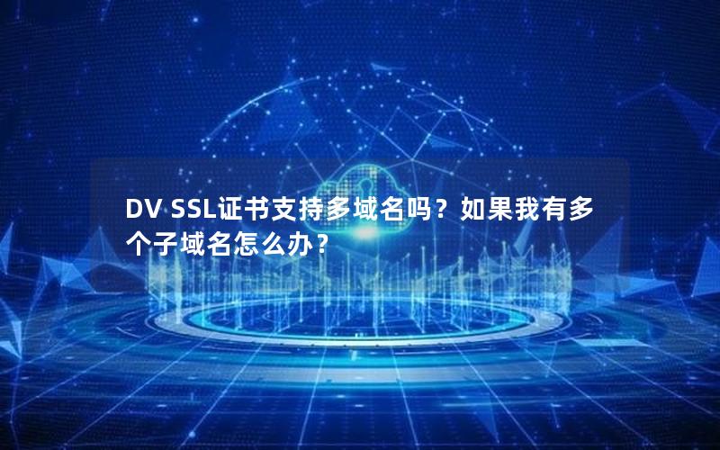 DV SSL证书支持多域名吗？如果我有多个子域名怎么办？