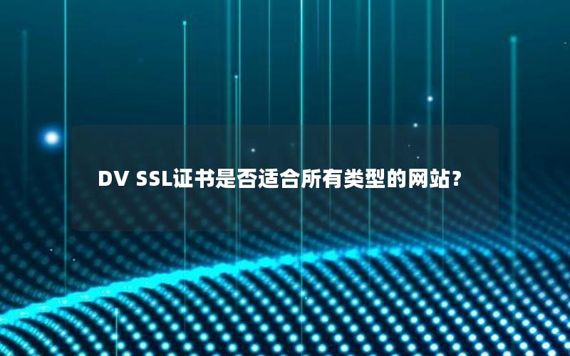 DV SSL证书是否适合所有类型的网站？