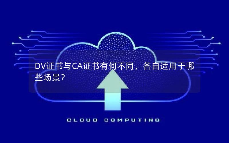 DV证书与CA证书有何不同，各自适用于哪些场景？