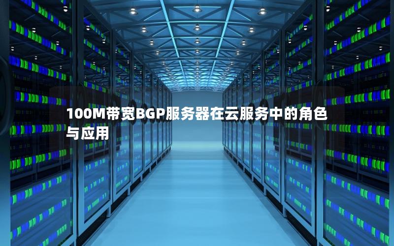 100M带宽BGP服务器在云服务中的角色与应用