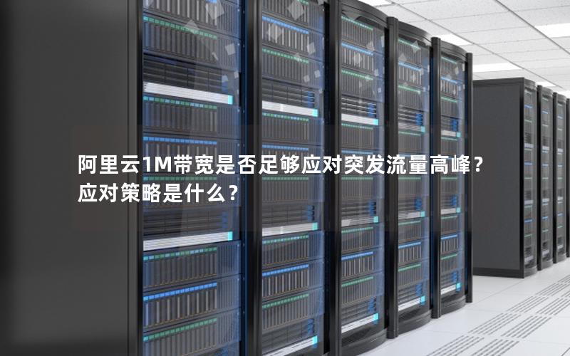 阿里云1M带宽是否足够应对突发流量高峰？应对策略是什么？