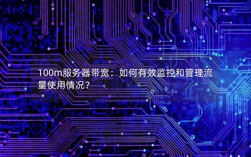 100m服务器带宽：如何有效监控和管理流量使用情况？