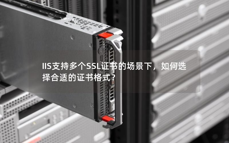 IIS支持多个SSL证书的场景下，如何选择合适的证书格式？