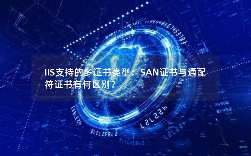 IIS支持的多证书类型：SAN证书与通配符证书有何区别？