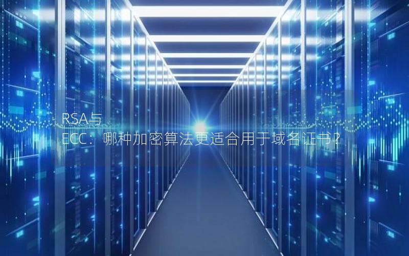 RSA与 ECC：哪种加密算法更适合用于域名证书？