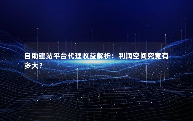 自助建站平台代理收益解析：利润空间究竟有多大？