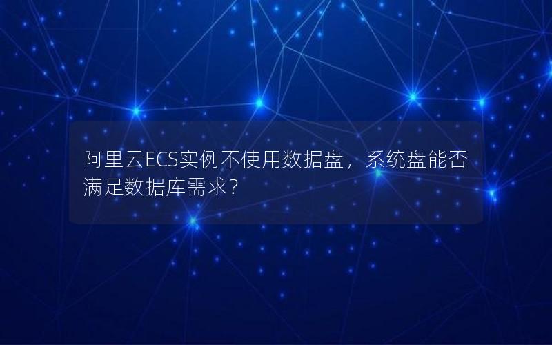 阿里云ECS实例不使用数据盘，系统盘能否满足数据库需求？
