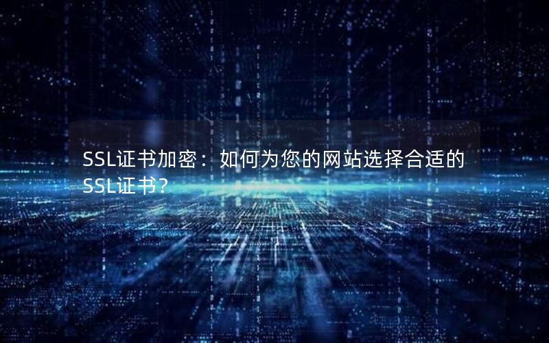 SSL证书加密：如何为您的网站选择合适的SSL证书？