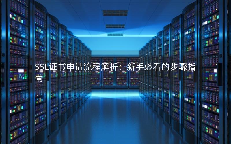 SSL证书申请流程解析：新手必看的步骤指南