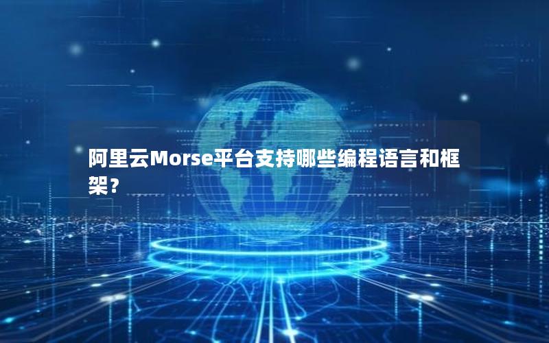 阿里云Morse平台支持哪些编程语言和框架？