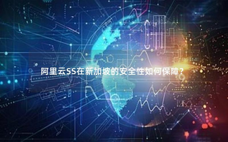 阿里云SS在新加坡的安全性如何保障？