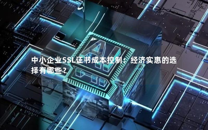 中小企业SSL证书成本控制：经济实惠的选择有哪些？